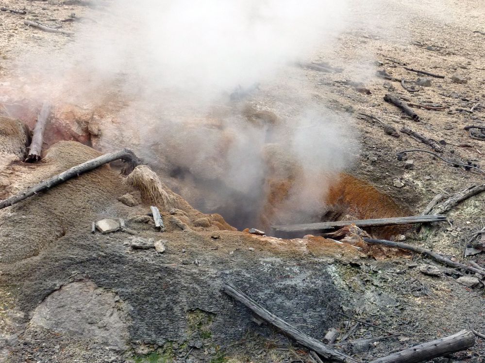 Yellowstone Norris Geyser (48).JPG